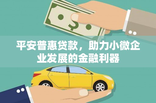 达日平安普惠贷款，助力小微企业发展的金融利器