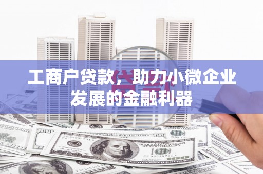 达日工商户贷款，助力小微企业发展的金融利器