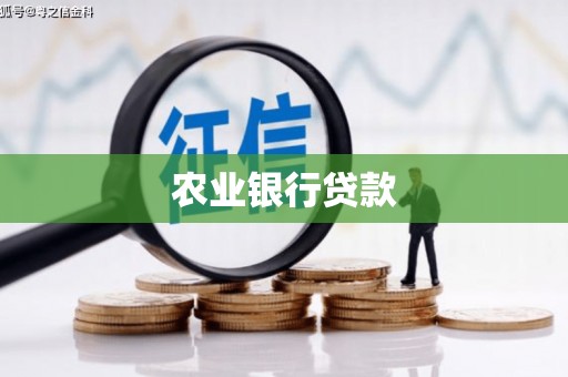 达日农业银行贷款