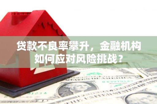 达日贷款不良率攀升，金融机构如何应对风险挑战？