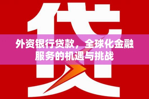 达日外资银行贷款，全球化金融服务的机遇与挑战