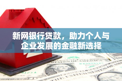 达日新网银行贷款，助力个人与企业发展的金融新选择