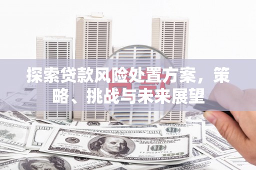 达日探索贷款风险处置方案，策略、挑战与未来展望