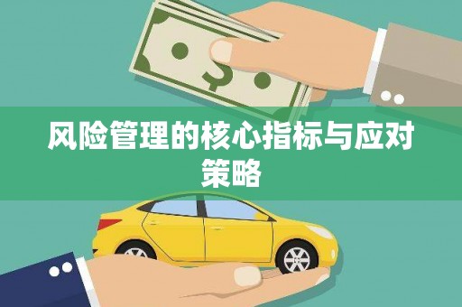 达日风险管理的核心指标与应对策略