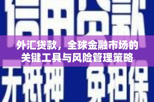 达日外汇贷款，全球金融市场的关键工具与风险管理策略