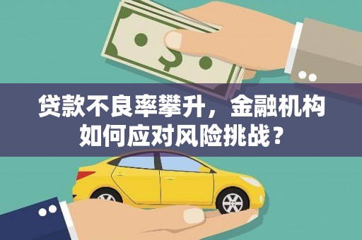 达日贷款不良率攀升，金融机构如何应对风险挑战？