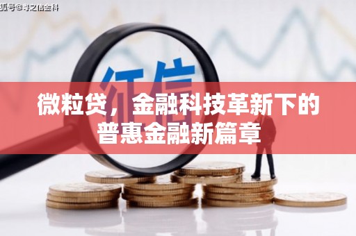 达日微粒贷，金融科技革新下的普惠金融新篇章
