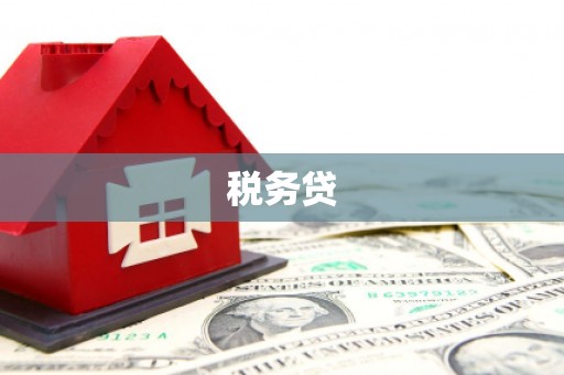 达日税务贷