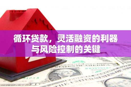 达日循环贷款，灵活融资的利器与风险控制的关键