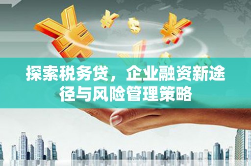 达日探索税务贷，企业融资新途径与风险管理策略