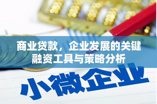 达日商业贷款，企业发展的关键融资工具与策略分析
