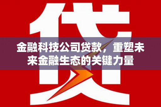 达日金融科技公司贷款，重塑未来金融生态的关键力量