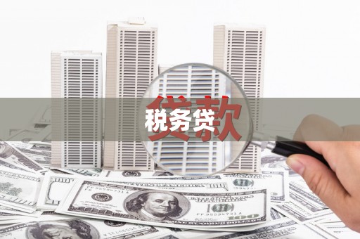 达日税务贷