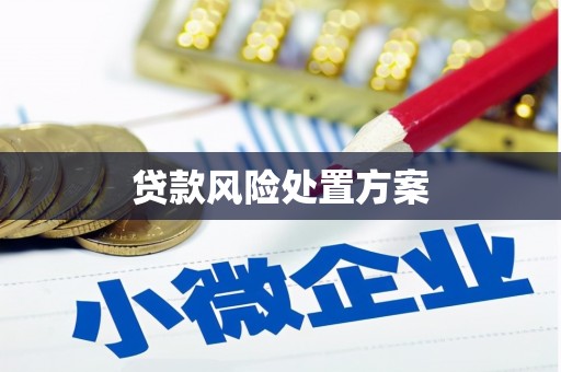 达日贷款风险处置方案