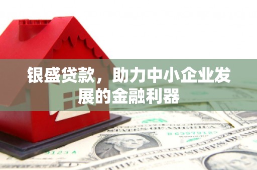 达日银盛贷款，助力中小企业发展的金融利器