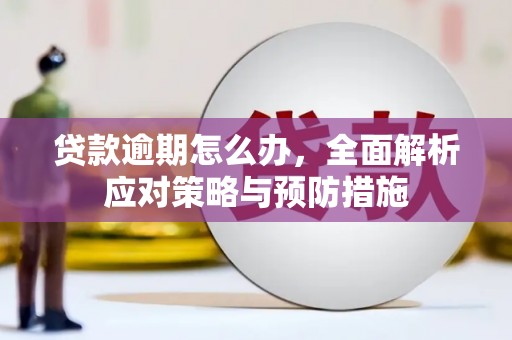 达日贷款逾期怎么办，全面解析应对策略与预防措施