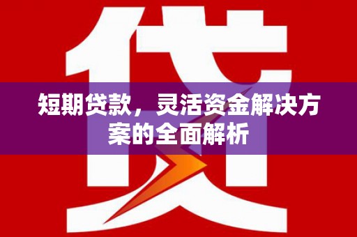 达日短期贷款，灵活资金解决方案的全面解析