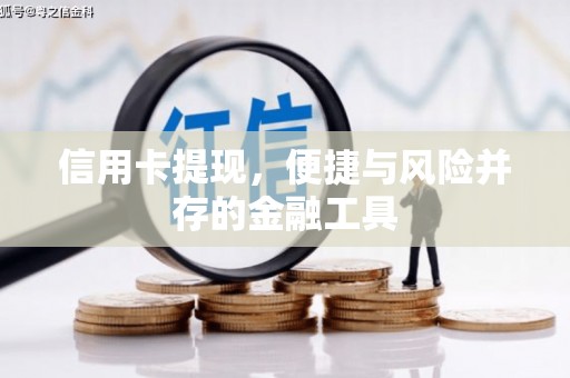 达日信用卡提现，便捷与风险并存的金融工具