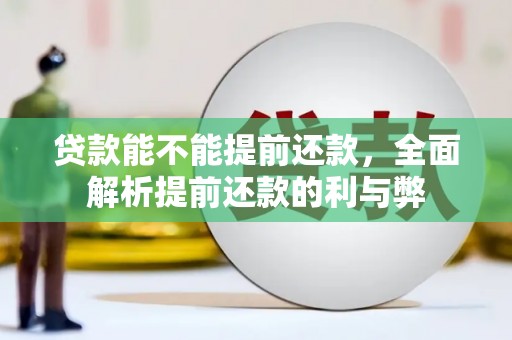 达日贷款能不能提前还款，全面解析提前还款的利与弊