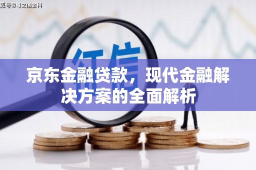 达日京东金融贷款，现代金融解决方案的全面解析