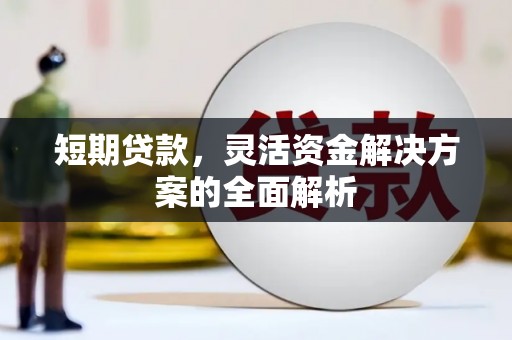 达日短期贷款，灵活资金解决方案的全面解析