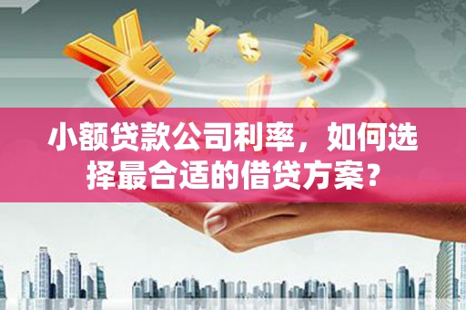 达日小额贷款公司利率，如何选择最合适的借贷方案？