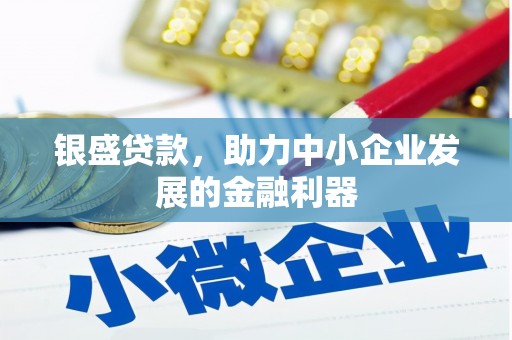 达日银盛贷款，助力中小企业发展的金融利器