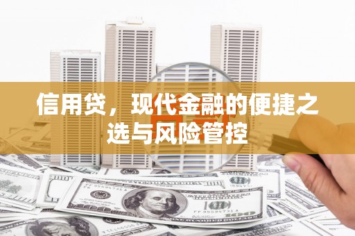 达日信用贷，现代金融的便捷之选与风险管控