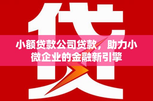 达日小额贷款公司贷款，助力小微企业的金融新引擎