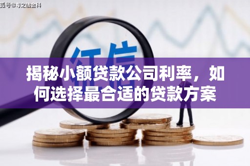 达日揭秘小额贷款公司利率，如何选择最合适的贷款方案