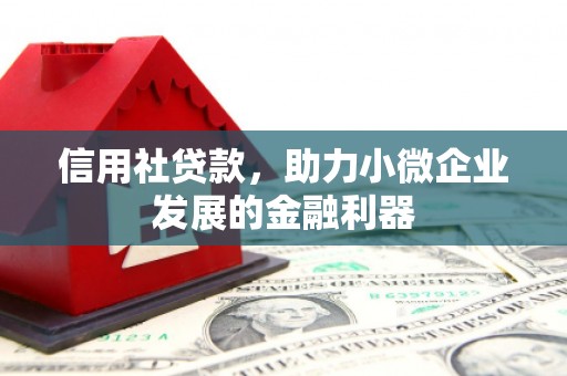 达日信用社贷款，助力小微企业发展的金融利器