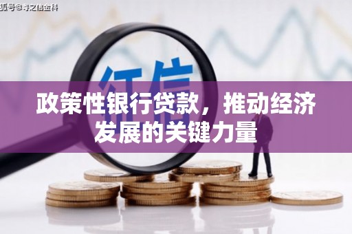 达日政策性银行贷款，推动经济发展的关键力量