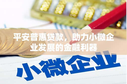 达日平安普惠贷款，助力小微企业发展的金融利器
