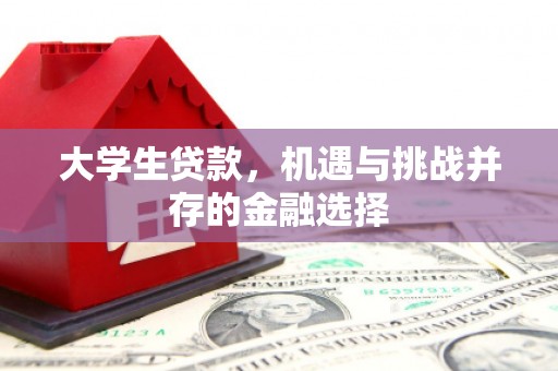 达日大学生贷款，机遇与挑战并存的金融选择