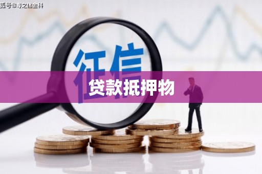 达日贷款抵押物