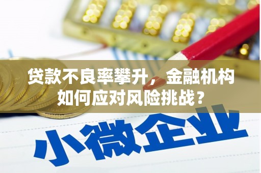 达日贷款不良率攀升，金融机构如何应对风险挑战？