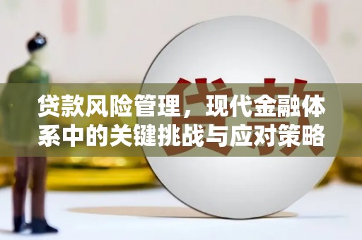 达日贷款风险管理，现代金融体系中的关键挑战与应对策略