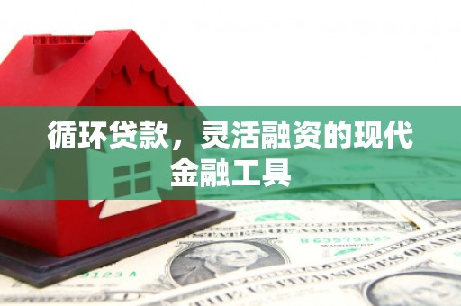 达日循环贷款，灵活融资的现代金融工具