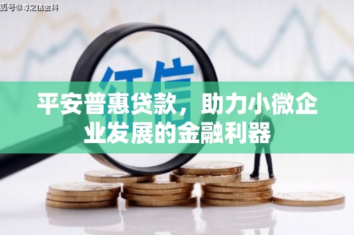 达日平安普惠贷款，助力小微企业发展的金融利器
