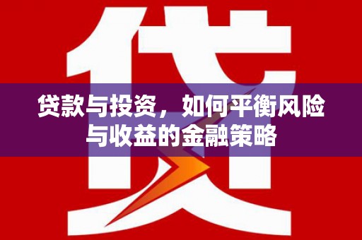 达日贷款与投资，如何平衡风险与收益的金融策略