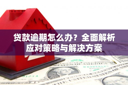 达日贷款逾期怎么办？全面解析应对策略与解决方案