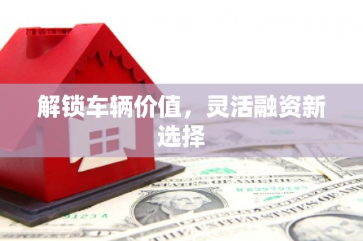 达日解锁车辆价值，灵活融资新选择