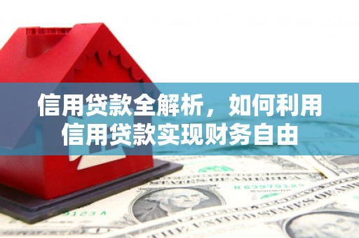 达日信用贷款全解析，如何利用信用贷款实现财务自由