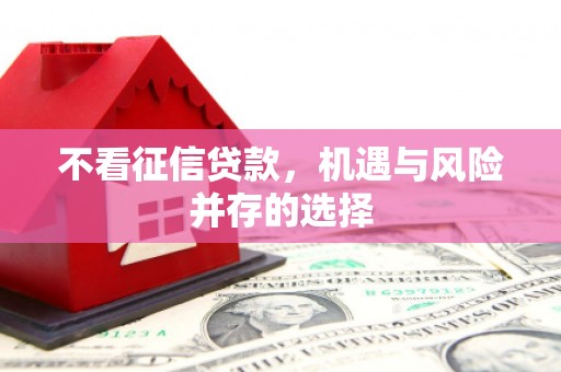 达日不看征信贷款，机遇与风险并存的选择