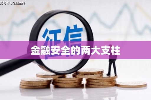 达日金融安全的两大支柱