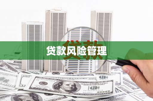 达日贷款风险管理